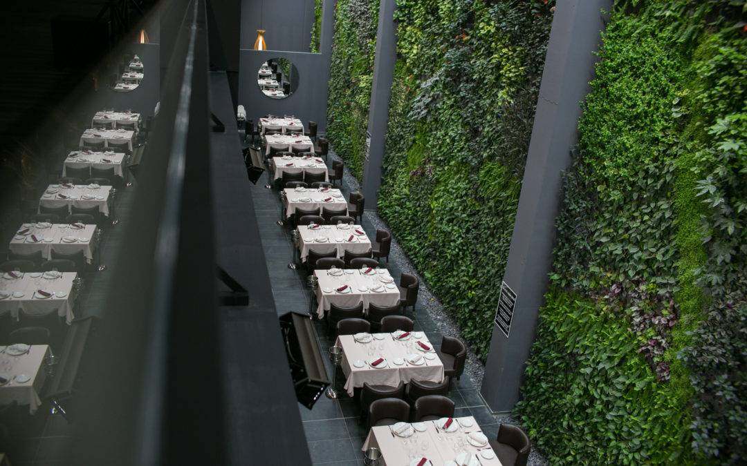 Nuestro corazón verde