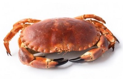 ¿Cómo reconocer un buey de mar?