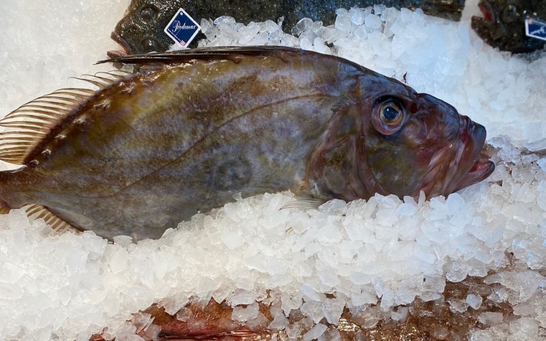 Tips para conservar el pescado fresco