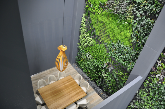 Un soplo de aire fresco