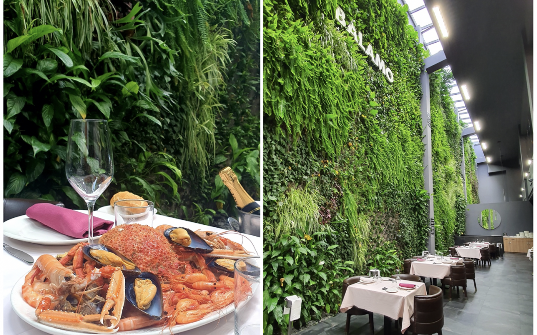 San Valentín en Bálamo