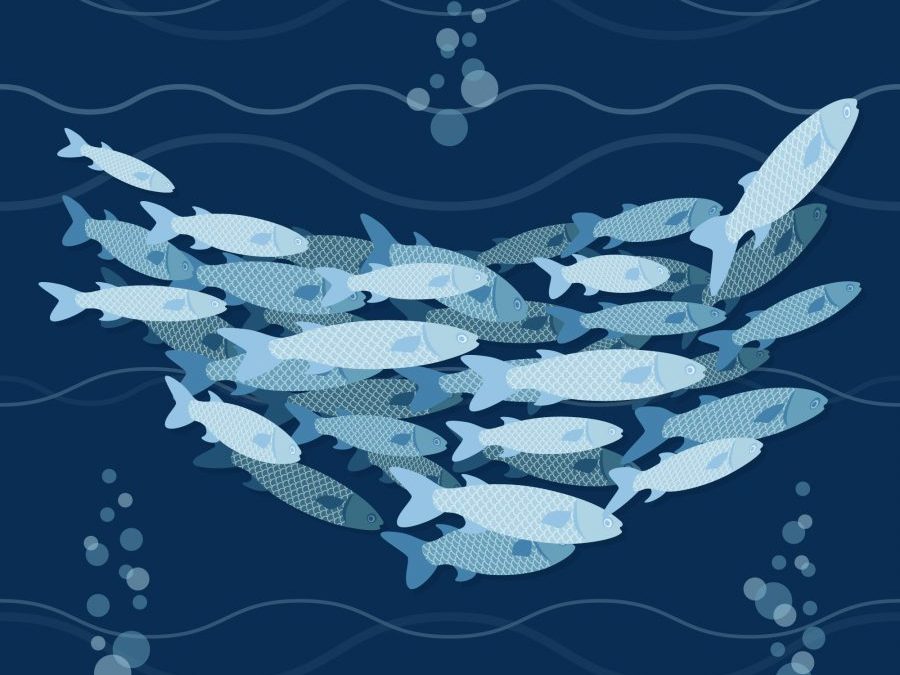 Día internacional de las familias