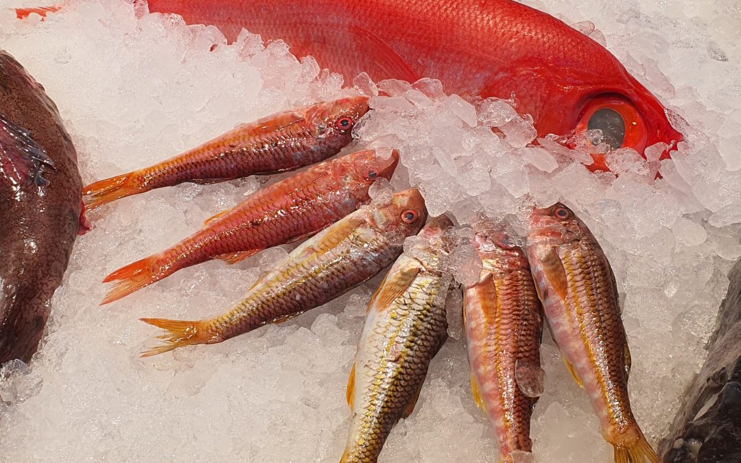 Consumir pescado y marisco durante el embarazo