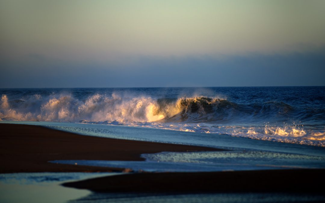 Día de los océanos